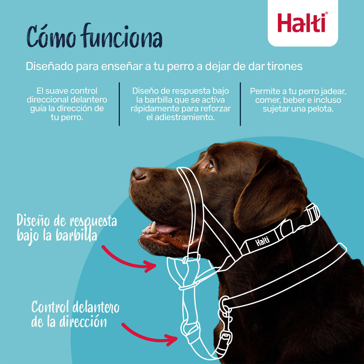 Maulkorb für Tiere COBALT Blau 3-9