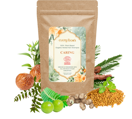 Organic Herbal Powder Shampoo