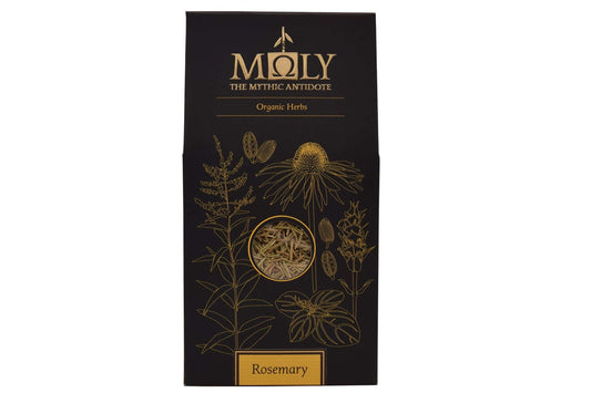 Rosmarin BIO aus ökologischem Anbau