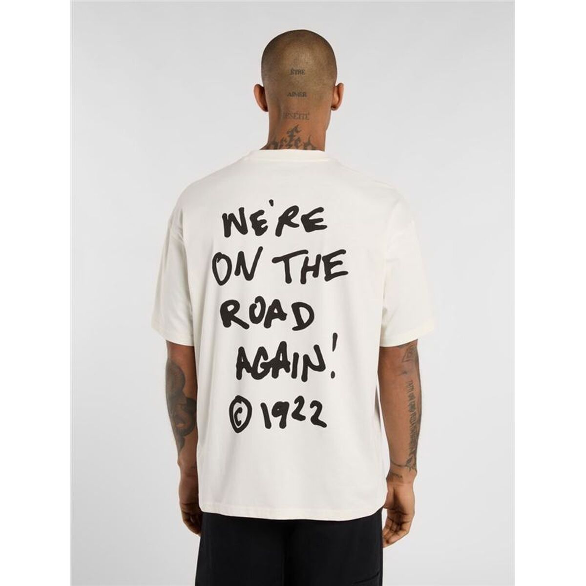 Männer Kurzarm T-Shirt Dickies Sneedville SS Beige-4