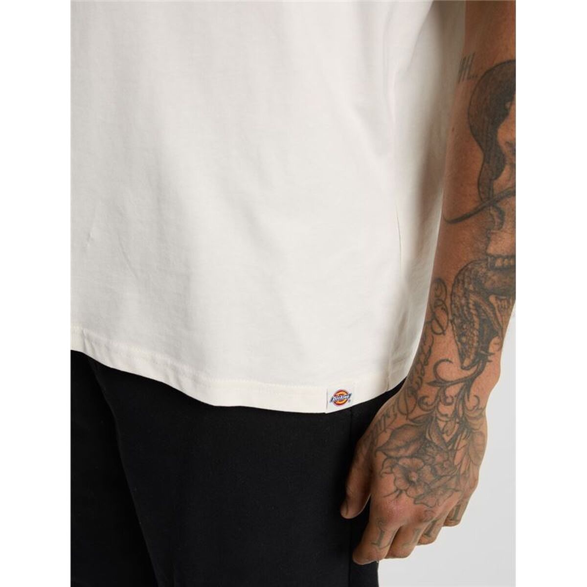 Männer Kurzarm T-Shirt Dickies Sneedville SS Beige-3