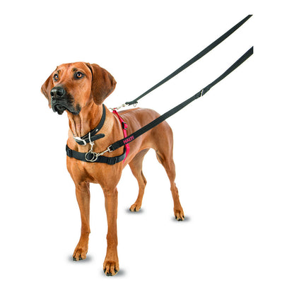 Hundegeschirr Firma von Tieren Halti Schwarz/Rot L (80-120 cm)-10