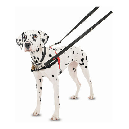 Hundegeschirr Firma von Tieren Halti Schwarz/Rot L (80-120 cm)-8