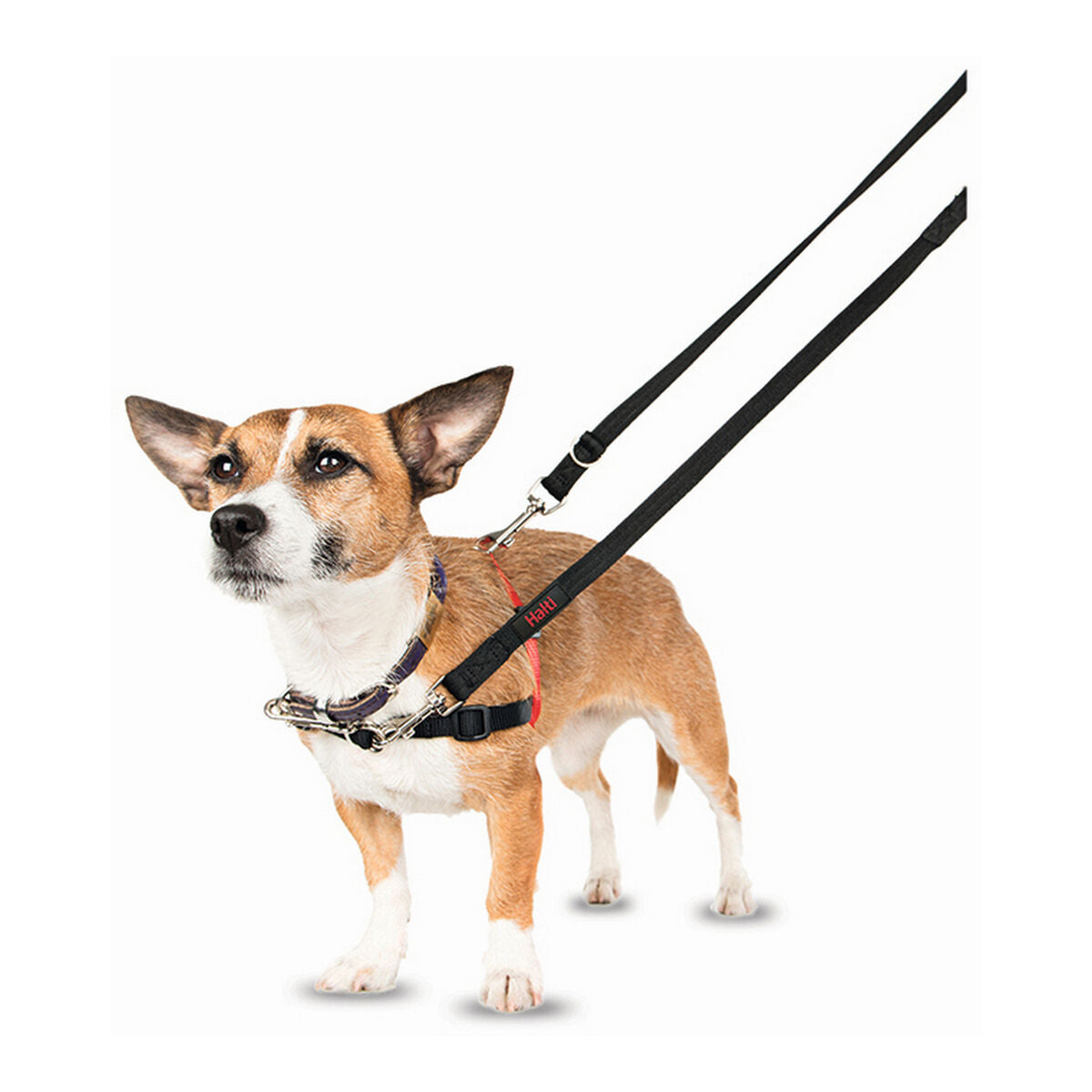 Hundegeschirr Firma von Tieren Halti Schwarz/Rot L (80-120 cm)-7