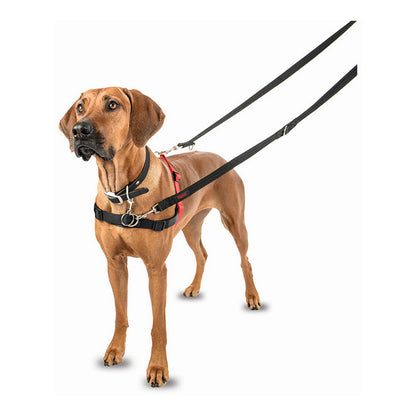 Hundegeschirr Firma von Tieren Halti Schwarz/Rot L (80-120 cm)-6