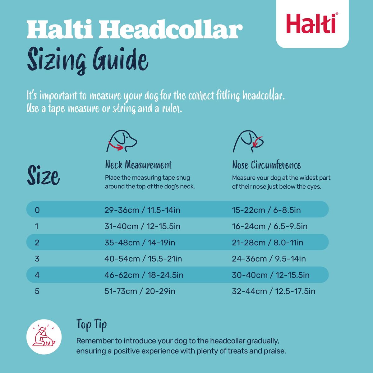 Maulkorb für Tiere COBALT Blau 3-2