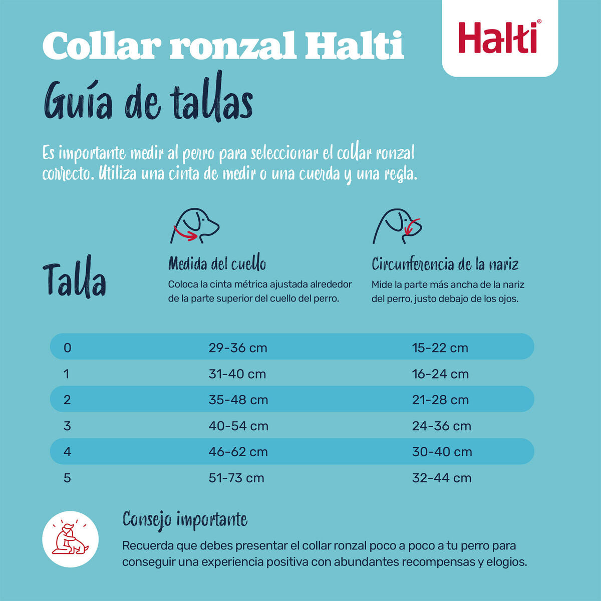 Maulkorb für Tiere COBALT Blau 3-11