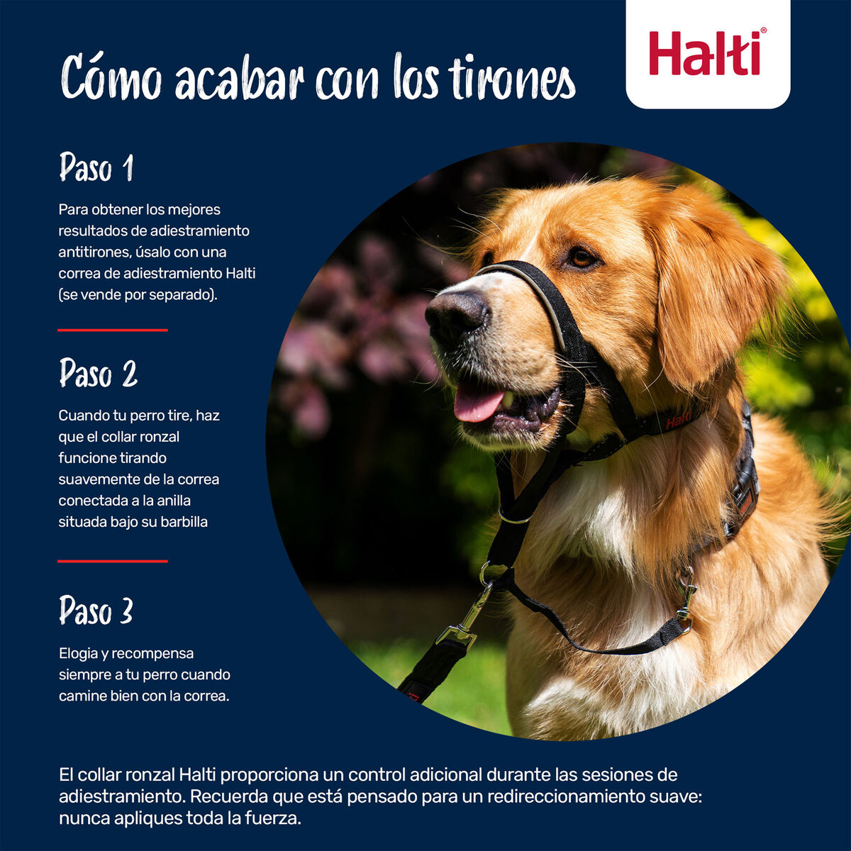 Maulkorb für Tiere COBALT Blau 3-10