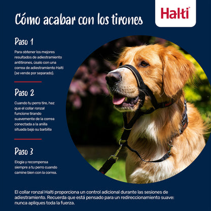 Maulkorb für Tiere COBALT Blau 3-10