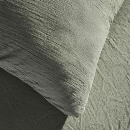 Duvetbee-atzT TODAY Dream Dream-1