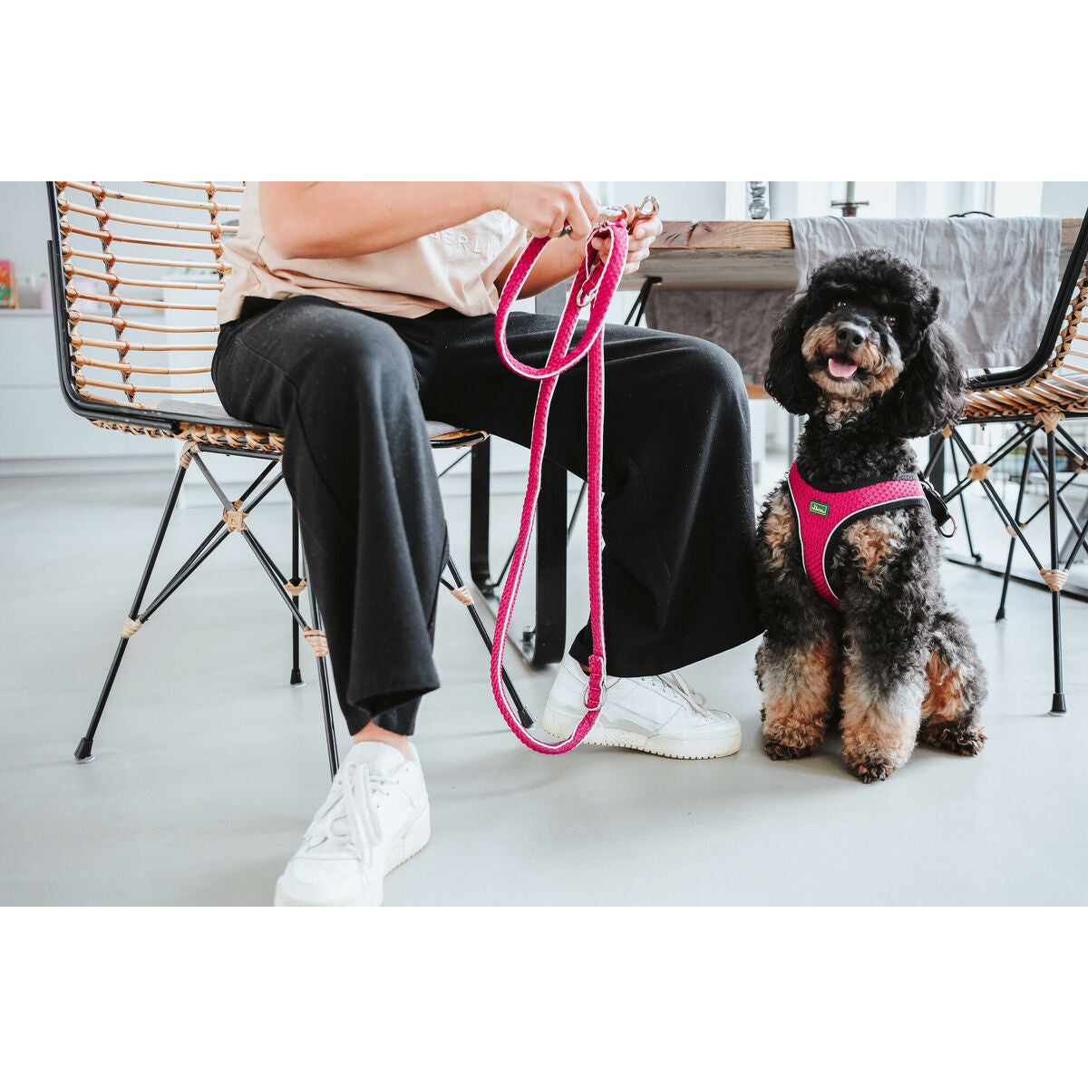 Hundegurt Hunter Comfort Fuchsia XXS 26-30 cm-3