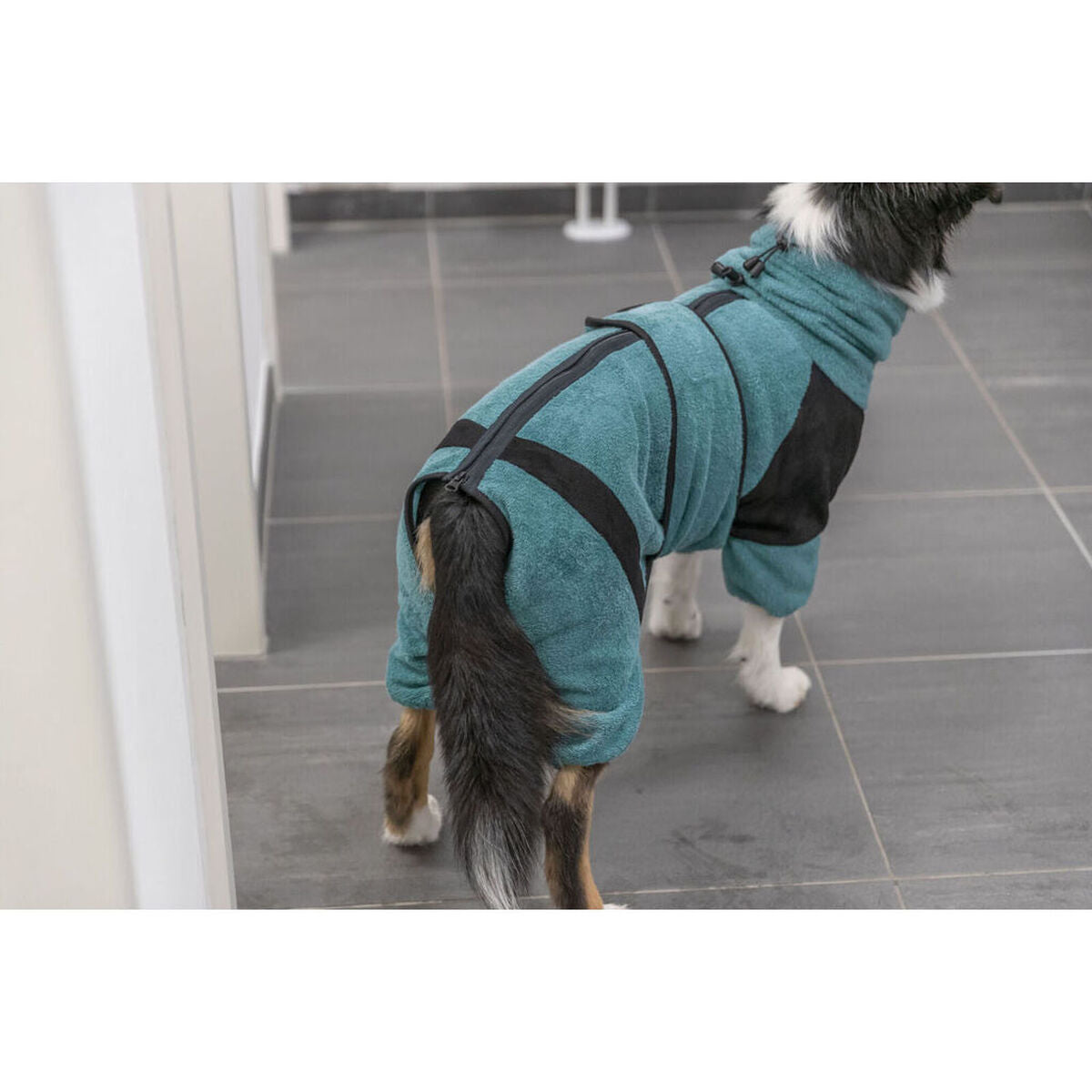 Hundebademantel Trixie Blau M L M/L-2