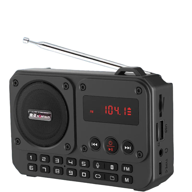NNEOBA Mini Portable FM Radio Bluetooth Speaker Grau-0