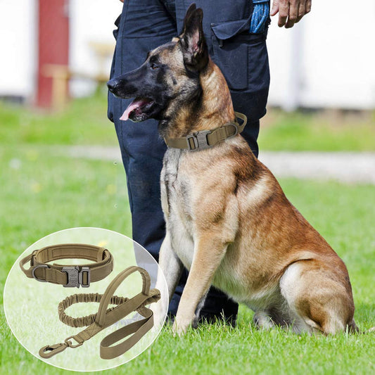 Military Tactical Dog Collar & Leash