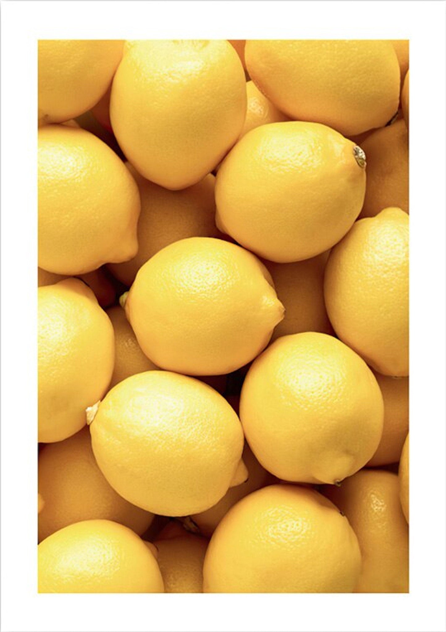 Poster Macaron und Avocado als Deko Print ohne Rahmen