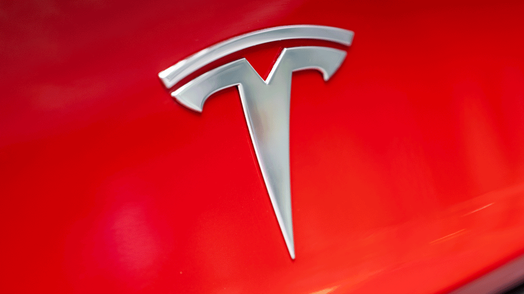 Logo Embleme für das Tesla Model Y