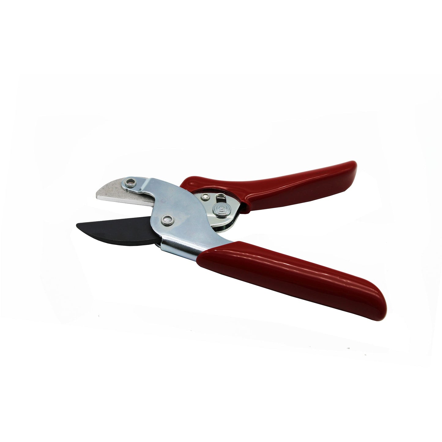 Nuoka special scissors for adhesive weights