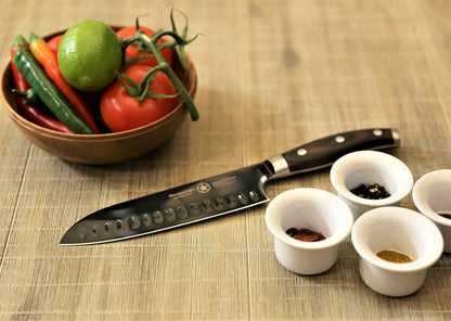 Santoku-Messer (7"/18cm) + Schälmesser (3,5"/10cm) | Sternsteiger - Titanium Kollektion